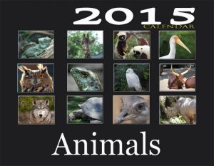 calendar animalscovercalender_0
